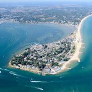 The survey's results will help to form the Sandbanks Dune Management Study