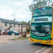 Yellow Buses launch Busters New Forest Explorer service