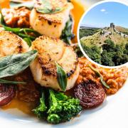 Here are some of the best rated restaurants and cafes in Purbeck.