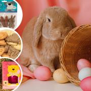 Pet-friendly Easter treats. Pictures: Canva/Pets at Home