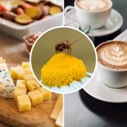 Hay Fever: The 5 food and drinks you need to cut out (Canva)