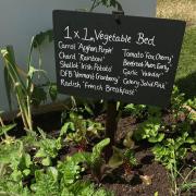 A small raised bed. Picture credit should read: Hannah Stephenson/PA.