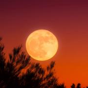 What is a Harvest moon and when will it peak in September? (Canva)