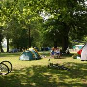 Forestry England-owned campsites in the New Forest could be run by the charity that stages the New Forest Show.