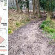 Map of the plantation site and bridleway through the site, looking north