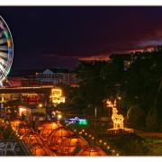 Bournemouth Christmas Tree Wonderland by Peter Hadfield