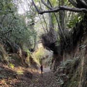 Andy Jefferies taking a look a close look at the holloway. Picture: Natural England