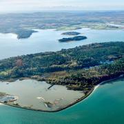 Wytch Farm was where 200 barrels of reservoir fluid leaked into Poole Harbour