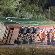 Cows die as livestock lorry flips over on roundabout