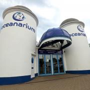 Bournemouth Oceanarium in 2015