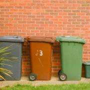 Reddit users have debated how early is too early to put your bins out on bin day