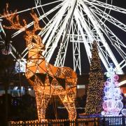 Bournemouth Christmas Tree Wonderland 2023 and Christmas market.