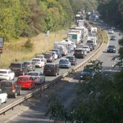 'Severe delays' on A31 eastbound