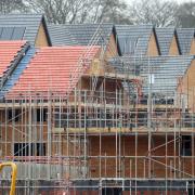 The number of new homes to be built in the New Forest could be doubled under the Labour government's new housing targets