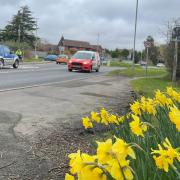 Traffic in Sandford Road, Wareham