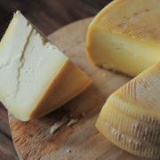 Cheese festival comes to Dorset next month