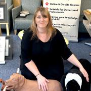 Tori Gilmore owns Home Hounds Pet Business Coaching, an independent company dedicated to teaching dog CPR.  