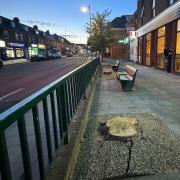 Three maple tress were felled outside KFC in New Milton.