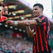 Glen Johnson (insert) is not convinced by Dominic Solanke despite the striker's fine season