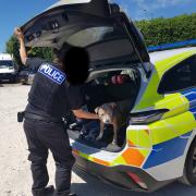 Dog rescued from 'sweltering car' by police