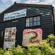 Wild Seas Centre