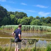 Queen's Park pond