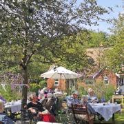 Accordionist Debbie Murphy entertains residents and visitors on the first of Brook View’s two open afternoons