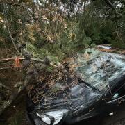 DAMAGED: A large branch fell on top of a Corsa