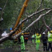 Workers remove fallen trees along a street in the aftermath of Typhoon Bebinca in Shanghai (Xinhua News Agency via AP)