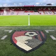 The Vitality Stadium