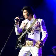 Gordon Hendricks - Elvis (press image)