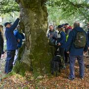 A group from Open Sight Hampshire on a guided walk are led through the New Forest as part of the 2023 Walking Festival.