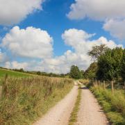 Bridleway track to Ashmore Barn Farm at the start of the walk