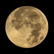 Hunter's Moon over the New ForesT