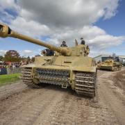 Tiger 131 in action at Tiger Day on September 28.