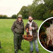 Expert mycologist Andy Knott, of Jurassic Coast Mushrooms, left, discovered the rare mushroom on a nature walk at Bere Marsh Farm