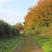 The bridleway track up from Newfield House