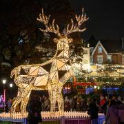 Bournemouth Christmas Tree Wonderland