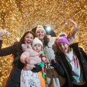 Opening night of the Bournemouth Christmas Tree Wonderland