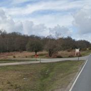 Bomb squad near luxury New Forest hotel