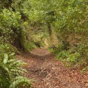 Smugglers Lane