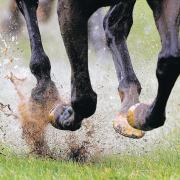 GLAMOROUS OCCASION: Salisbury Racecourse will host Ladies' Evening tonight