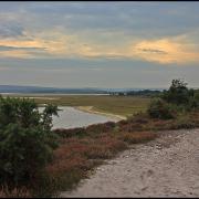 BBC show to broadcast live from Purbeck nature reserve