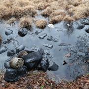 The remains of a cannabis growing operation which have been dumped along the side of Dudmoor Lane in Christchurch.