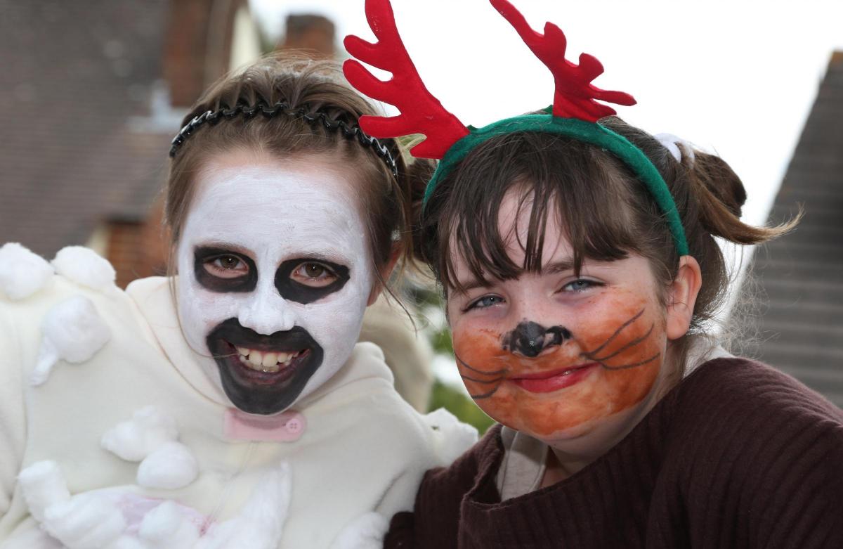 Corfe Mullen Carnival 2014