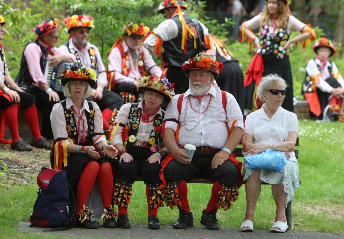 Wimborne Folk Festival 2014