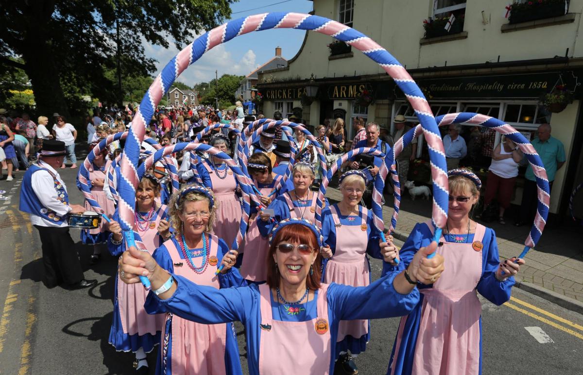 Wimborne Folk Festival 2014