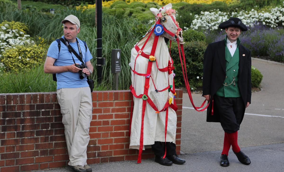 Wimborne Folk Festival 2014