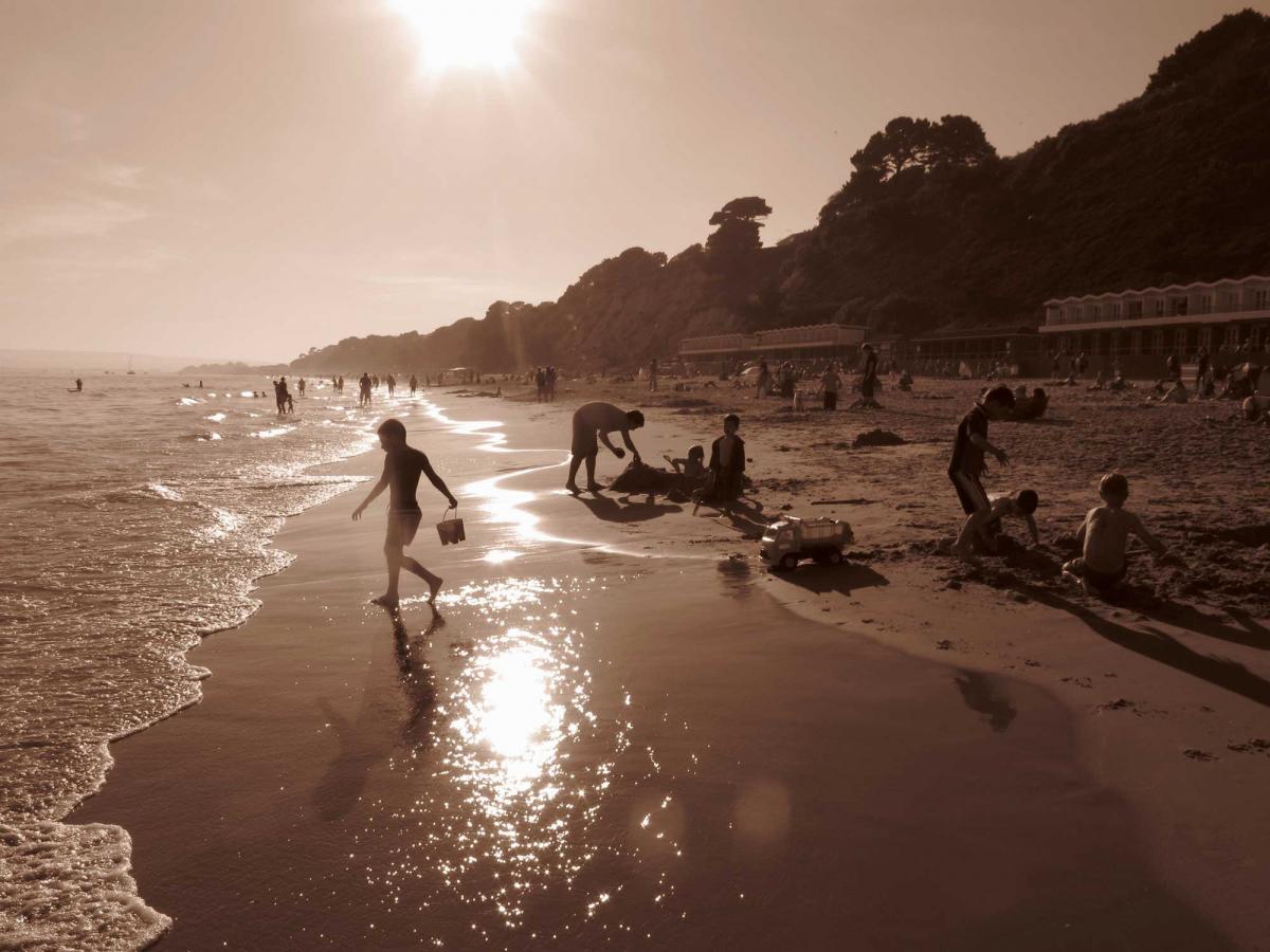 Branksome Chine. Picture by James Ratcliffe
