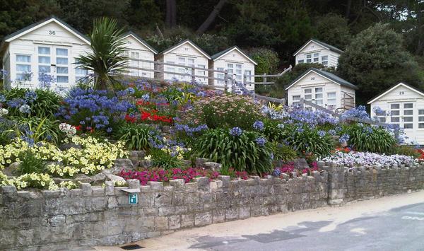 Beach huts at Branksome Chine. Picture by Suzanne McLeod
